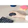 Logitech Teclado e mouse sem fio MK295 Silent