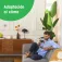 Tado TASTVX inteligentny termostat