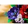 Lego 11513 Construction Game