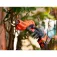 Black & decker BCPP18D1 电动修枝剪