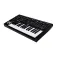 Moog Clavier Messenger