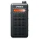 Fiio RR13 Hi-Res audio player