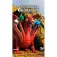 Super7 Dungeons & Dragons Tiamat figur