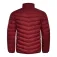 Joma Explorer ジャケット