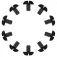 Shred Chinguard Schrauben