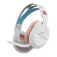 Turtle beach Stealth 500 Gaming headset
