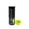 Dunlop Caixa de bolas de padel Match