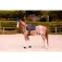 Equitheme K-Cesar Satteldecken