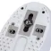 Iqon Act pds interlink schaatsen