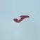 Joma Moletom com capuz Challenge