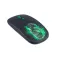 Harry potter Mouse wireless Slytherin