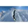 Insta360 X6 Actiecamera