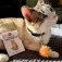 Kikkerland Poder Welcome Cat