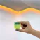 Shelly Plus RGBW PM smart plug
