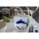 Winkee Dolphin glas