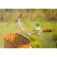 Winkee Support smartphone Duck
