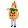 Den goda fen Pumpkin 仮装