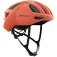 Scott Arx MIPS helm