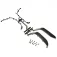 Axial Escuts davanters eixamplats AXIC4018
