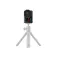 GoPro Point and Shoot Grip selfiestick
