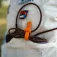 Xtorm CXX2008 USB-A to micro USB cable