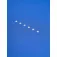 Ronhill Core 半袖Tシャツ