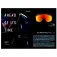 Bolle Chronoshield solbriller