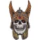 Powell peralta Patch Pp andy anderson 4´´