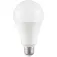 Gsc E27 a60 Globe LED-lamp