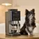 Krups Coffee Crush Experience SA 403 B Superautomatic Coffee Machine