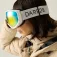 Dare2B Frame Skibril