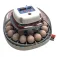 Willab 22 eggs Educatief speelgoed