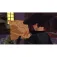 Nintendo Switch Zorro: The Chronicles MULT
