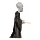 Minix Voldemort 図形