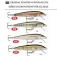 Rapala Minnow Original Floating 2g 30 mm