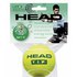 Head TIP Tennis Balls