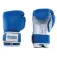 Salter 10oz combat gloves