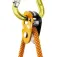 Petzl Polea Micro Traxion