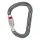 Petzl William Screw Lock snap hook
