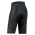 GORE® Wear Pantaloncini Alp-X 3.0 Goretex Active Shell