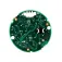 Raymarine PCB do Transdutor de Vento