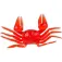 Kali Pulpera Eye Bay Crab