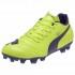 Puma Evopower 4 AG Football Boots