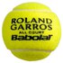 Babolat Roland Garros French Open All Court Tennis Ballen Doos