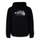 The North Face Drew Peak hoodie